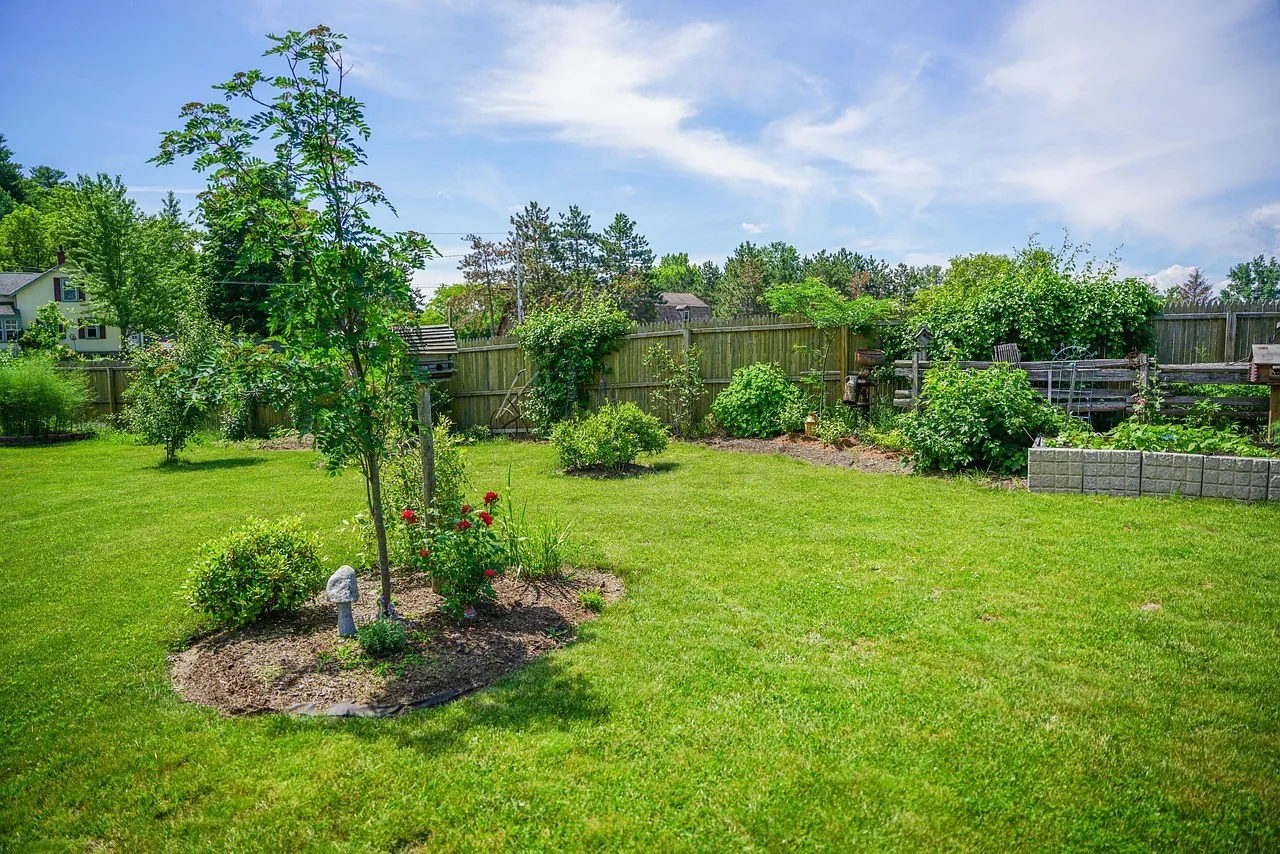 A green backyard lawn with garden beds on a sunny day